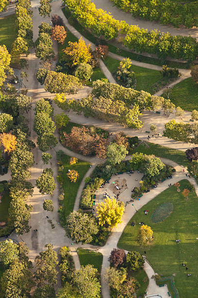 istock Aerial View  of Park from the Eiffel Tower in Paris 183345388