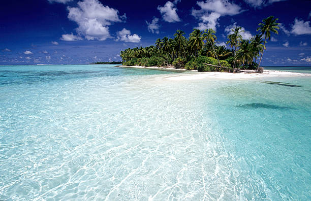 istock Maldives, southern atolls, Island. 183345942