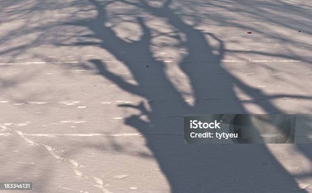 Shadow 트리 0명에 대한 스톡 사진 및 기타 이미지 - 0명, 가루눈, 겨울나무