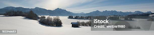 Xxl Winter Panoramalandschaftbäume Und Schnee Field Stockfoto und mehr Bilder von Spur