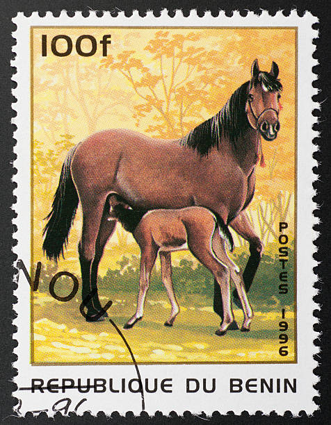 istock motive stamp Benin - arabian horse 183346758