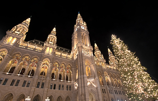 Rathaus and Christmas tree, Vienna