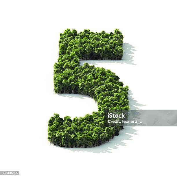 Number 5 Perspective View Stock Photo - Download Image Now - Number 5, Tree, Environmental Conservation