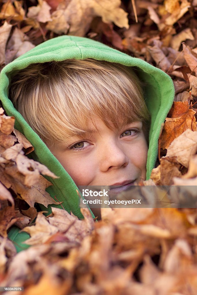 Cute boy in leaves Autumn Stock Photo