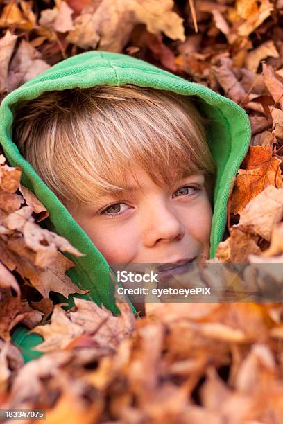 Cute Boy In Leaves Stock Photo - Download Image Now - Autumn, Boys, Buried