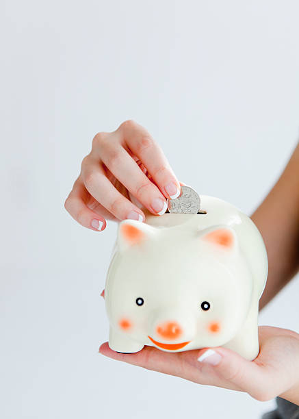 istock Piggy bank and Chinese coin 183347802