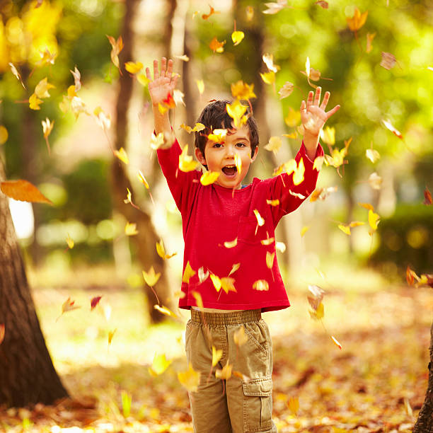 istock Autumn leaves and little boy 183347839
