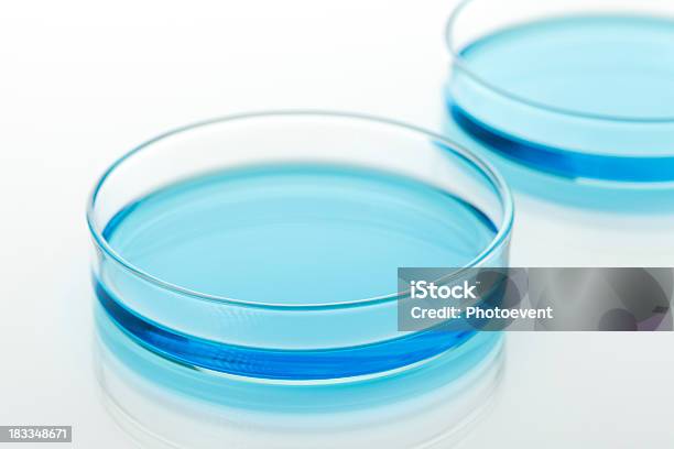 Foto de Disco De Petri e mais fotos de stock de Azul - Azul, Beleza, Biotecnologia
