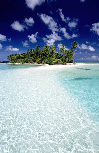 istock Maldives, southern atolls, Island. 183348845