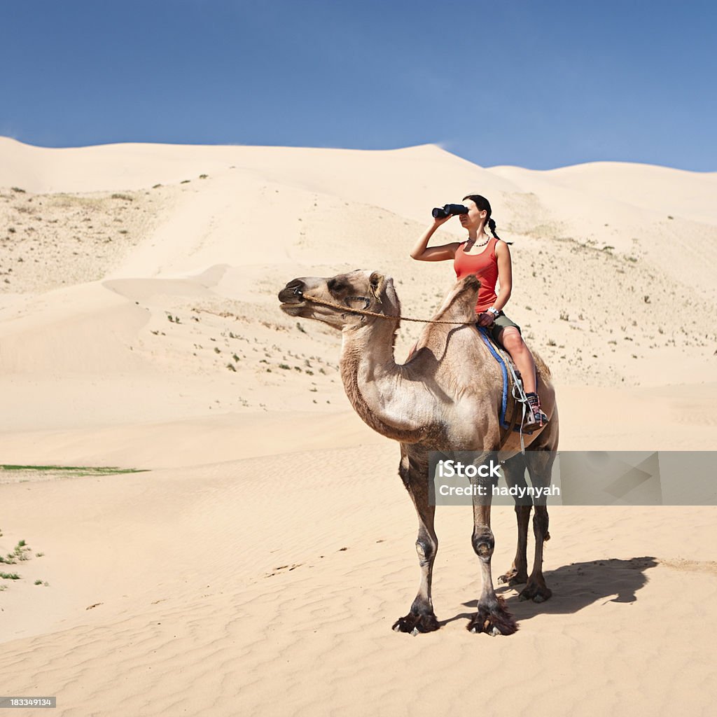 Молодая женщина, глядя через бинокль на верблюд - Стоковые фото Верблюд роялти-фри