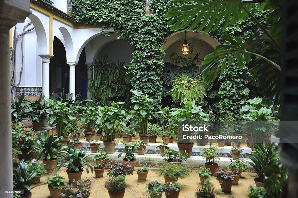 Casa tradizionale andalusa con patio e piante in vaso - Foto stock royalty-free di Andalusia