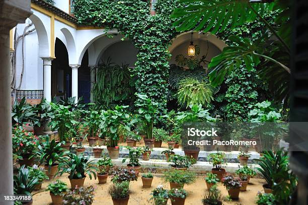 Casa Tradizionale Andalusa Con Patio E Piante In Vaso - Fotografie stock e altre immagini di Andalusia