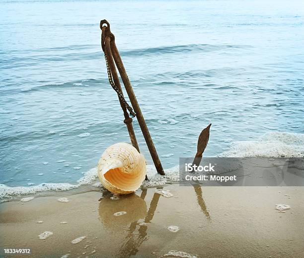 Foto de Âncora e mais fotos de stock de Areia - Areia, Conceito, Concha - Parte do corpo animal