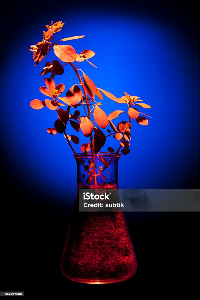 Carattere artificiale - Foto stock royalty-free di Adolescenza