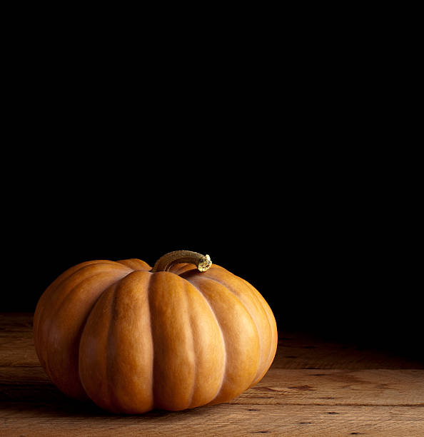 istock Heirloom Pumpkin for Thanksgiving or Halloween. Copy Space. 183349613