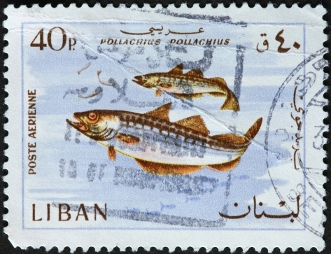 two pollock fish on a Lebanese postage stamp