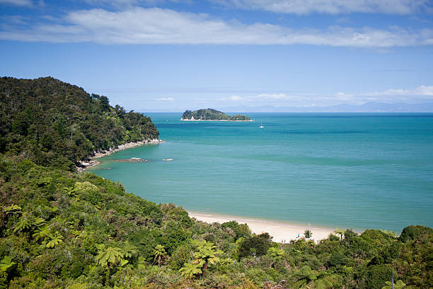 istock Abel Tasman National Park Beach 183350156