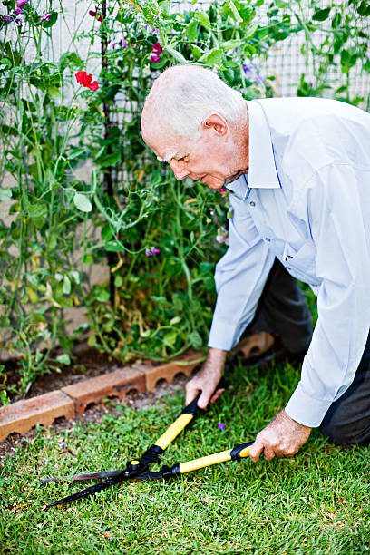 istock Still active in his 80s, old man clips the lawn 183350171