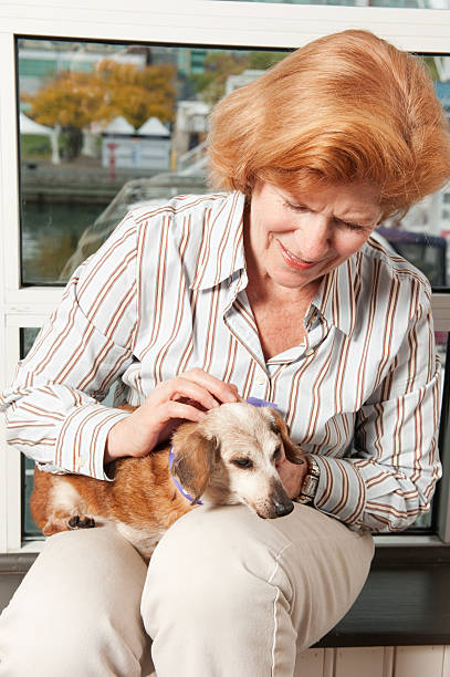istock Women petting aging daschund 183350292