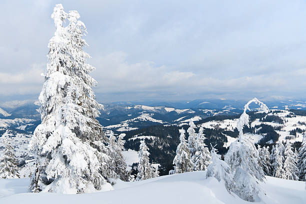 istock Carpathians. Mountains cowered with snow 183350677