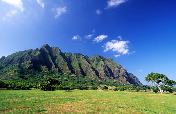 istock USA Hawaii O'ahu, Kualoa Ranch. 183351170