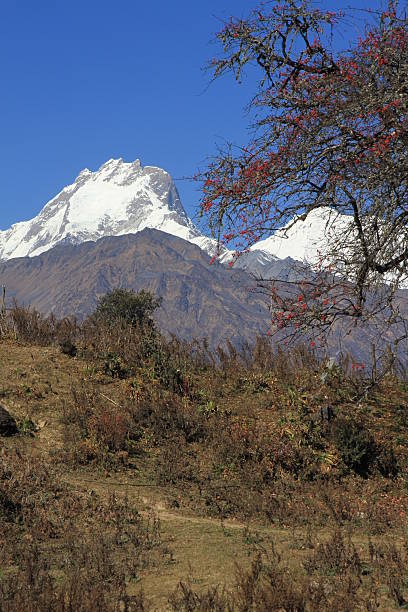 ganesh himal - ganesh himal photos et images de collection