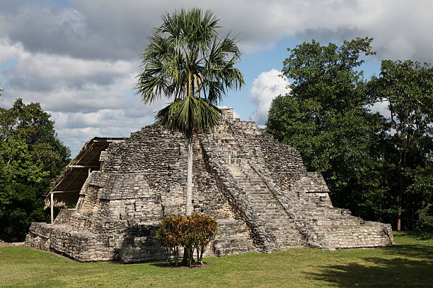 tempio di myan chacchoben in messico - chacchoben foto e immagini stock