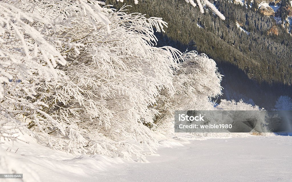 Gefrorene Büschen nächsten winter lake - Lizenzfrei Alpen Stock-Foto