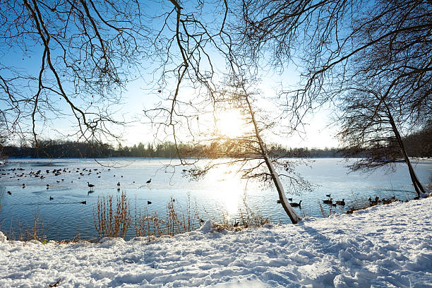 Pier at Yedigöller in Bolu in Turkey in Winter