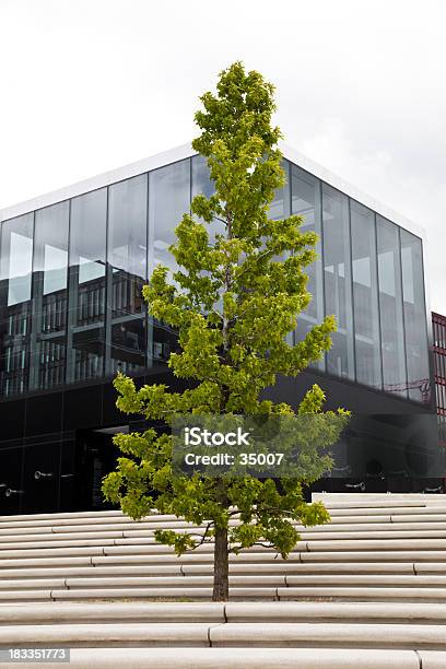 Urban Tree Stock Photo - Download Image Now - Architectural Feature, Architecture, Concepts