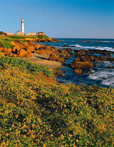 Rocky shoreline at Pigeon Point Lighthouse, California