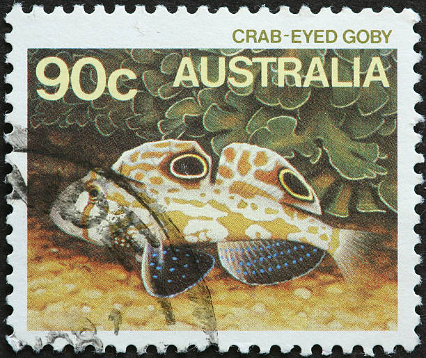 istock crab-eyed goby fish on an Australian stamp 183352204