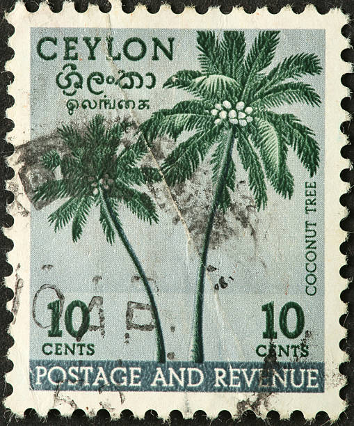 istock coconut palms on an old Ceylon (Sri Lanka) stamp 183352540