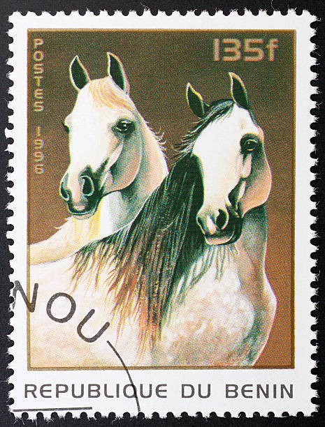 istock motive stamp Benin - arabian horse 183352677
