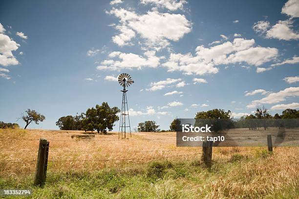 Australian Rural Scene Stock Photo - Download Image Now - Australia, Paddock, Agricultural Field