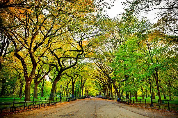 Photo of Literary Walk in Central Park at fall