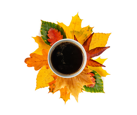 Autumn Coffee Cup Isolated, Coffee Mug on Yellow Autumn Tree Leaves, Hot Drink in Golden Foliage, Autumn Tea on White Background Top View