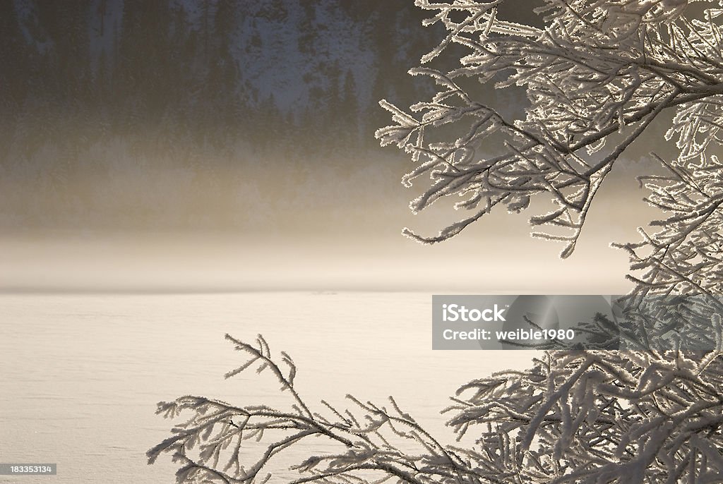 Nebel über dem See in der Nähe der gefrorene bush - Lizenzfrei Schneeverwehung Stock-Foto