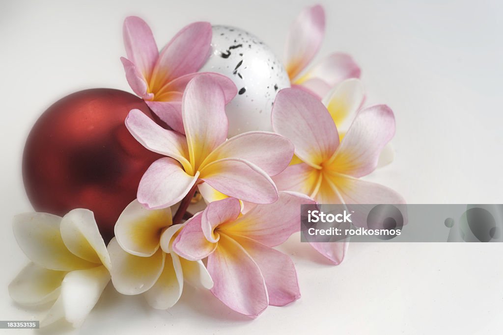 plumeria Fevtive - Royalty-free Arco-Íris Foto de stock