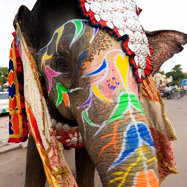 Indian Elephant Colorful Decoration Jaipur India