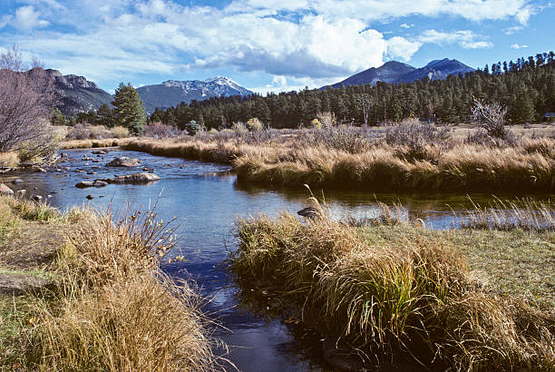 Big Thompson River and Twin Sisters Peak The Big Thompson River is a 78 mile tributary of the South Platte River in Colorado. The headwaters of the Big Thompson River begin in the Rocky Mountains near the Continental Divide at Forest Canyon. On July 31, 1976 the Big Thompson River was the site of a huge flash flood that swept down the steep and narrow canyon, killing 143 people. The flood was triggered by a thunderstorm near the upper section of the canyon that dumped 12 inches of rain in less than 4 hours. Very little rain fell in the lower section of the canyon, where many of the victims were. The Big Thompson River was photographed as it meandered through Moraine Park in Rocky Mountain National Park near Estes Park, Colorado, USA. jeff goulden rocky mountain national park stock pictures, royalty-free photos & images