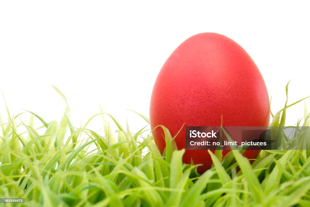 Easter egg easter eggEaster Animal Egg Stock Photo