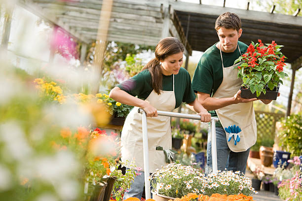 travailleurs de commerce pépinière avec des fleurs - sc0411 photos et images de collection