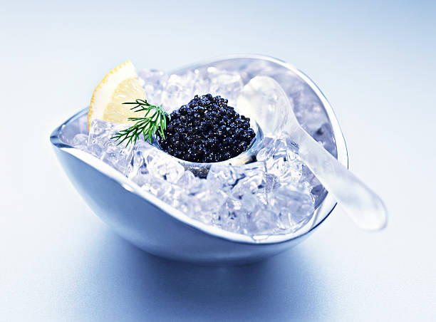 Caviar black caviar on ice sturgeon fish stock pictures, royalty-free photos & images