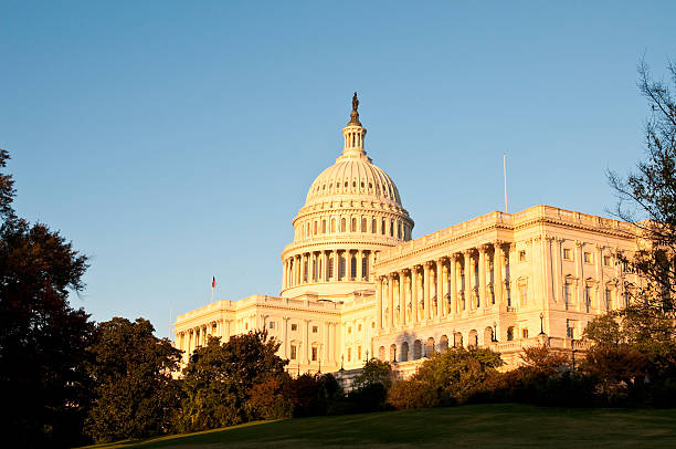 istock US Capitol in Washington DC - III 183355241