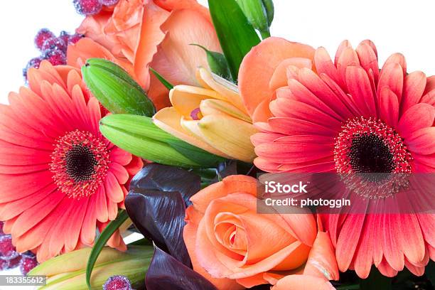 Foto de Buquê De Closeup e mais fotos de stock de Bouquet - Bouquet, Folha-de-gelo, Arranjo