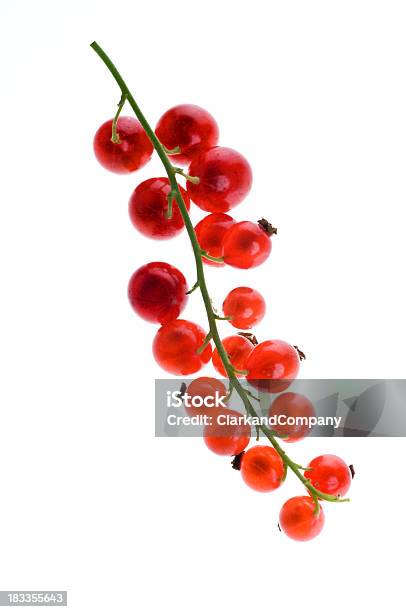 Photo libre de droit de Groseilles Rouges Isolé Sur Blanc banque d'images et plus d'images libres de droit de Aliment - Aliment, Aliment cru, Aliments et boissons