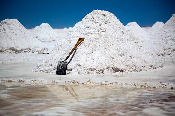 field for salt extraction at river side in valley of Tibet China