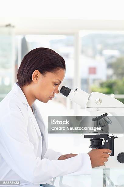 Scienziati Che Lavorano Con Un Microscopio - Fotografie stock e altre immagini di Laboratorio - Laboratorio, Microscopio, Tecnico
