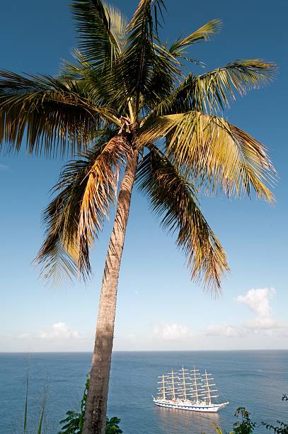 A sailboat cruise ship sit anchored in the Caribbean.